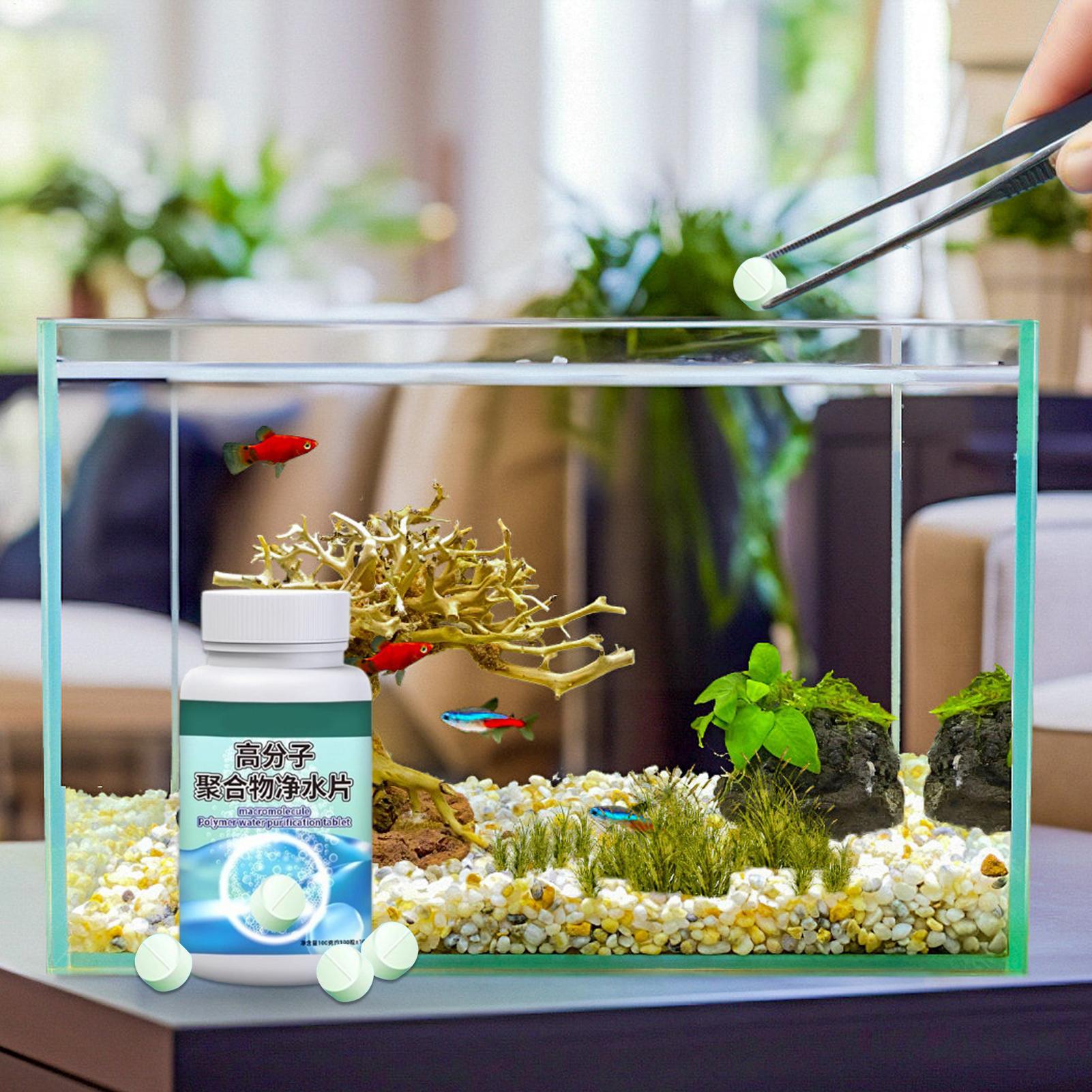 Fish Can Algae Remover Aquariu - Betta Fish Tank recension och pris