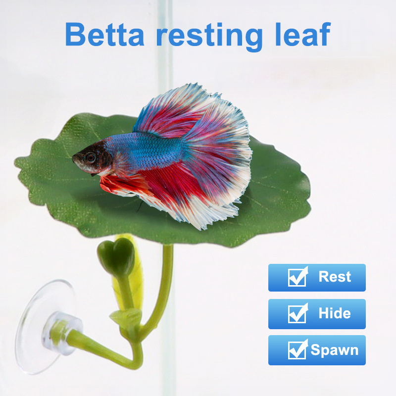 1PC Betta Fish Leaf Hammock Gr - Betta Fish Tank recension och pris