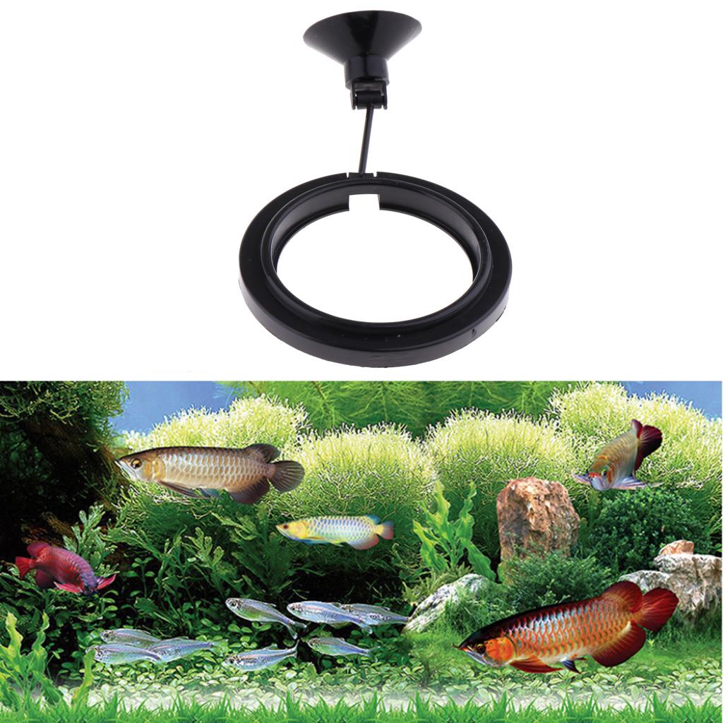 Fish Tank Feeder Floating Feed - Aquarium Fish Keeping recension och pris