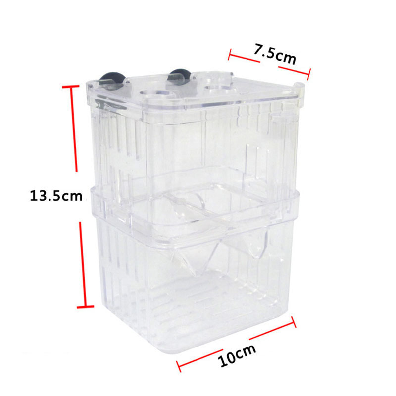 Peacock Fish Breeding Isolatio - Betta Fish Tank recension och pris